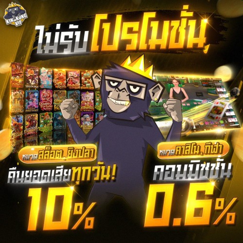 สินค้าแนะนำ